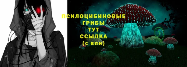 индика Абдулино