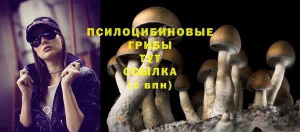 индика Абдулино