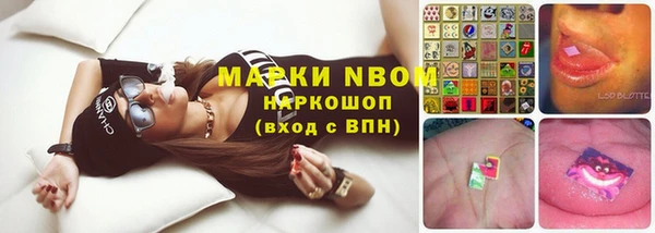 прущие грибы Абинск