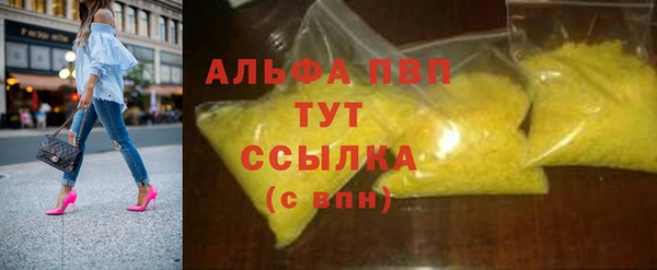 индика Абдулино