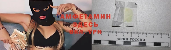 прущие грибы Абинск