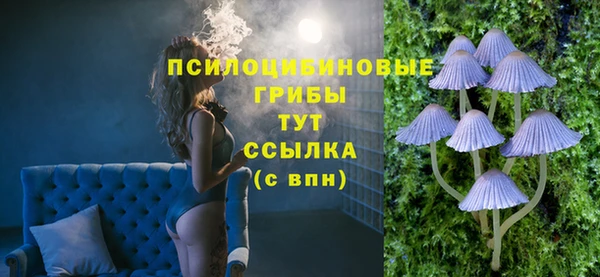 прущие грибы Абинск