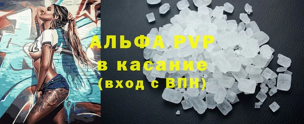 прущие грибы Абинск