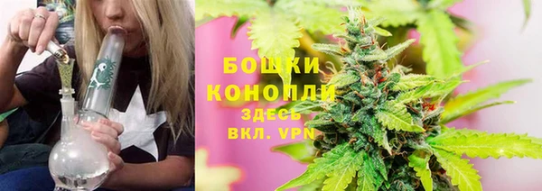 индика Абдулино