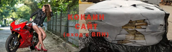 прущие грибы Абинск